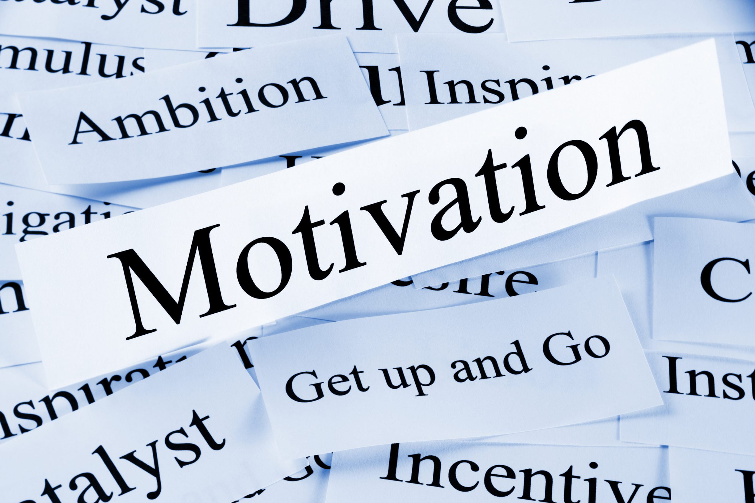 Motivation: is it a skill, a feeling or a trait?