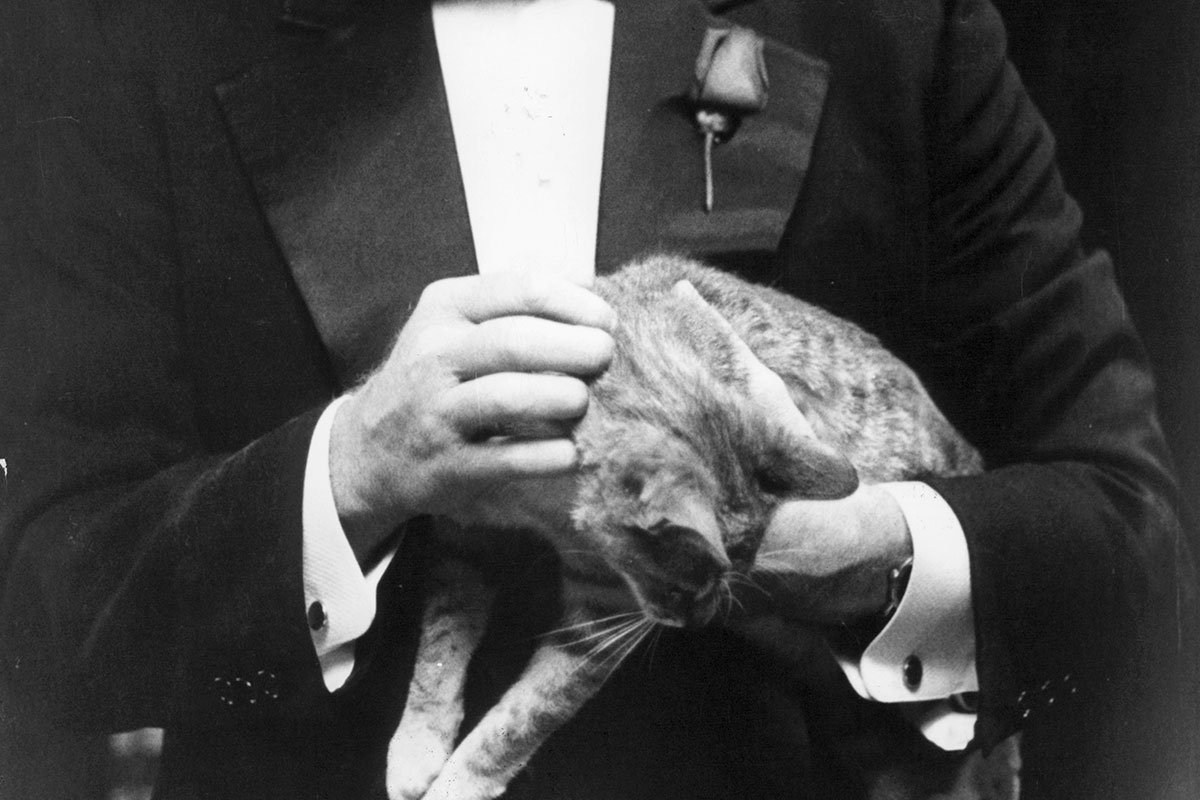 Marlon Brando holding a cat in a scene from the film 'The Godfather', 1972.
