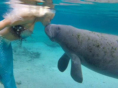 Mermaids or Manatees? | Two Chums